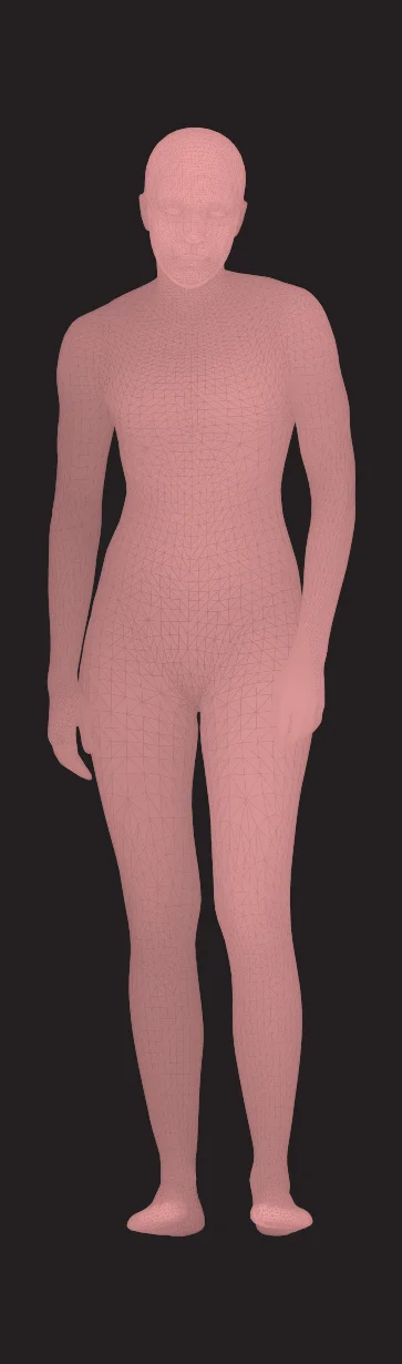3D body mesh visualization